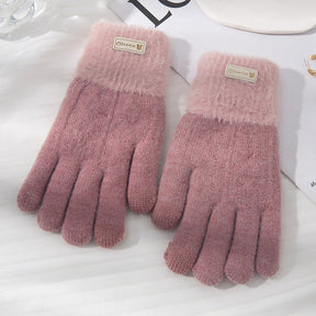 Student Riding Thickened Warm Double-layer Touch Screen Gloves My Store