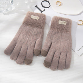 Student Riding Thickened Warm Double-layer Touch Screen Gloves My Store